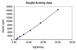 Eurofins DiscoverX Rse Protein, Active 250 &mu;g | Buy Online | Eurofins DiscoverX | Fisher Scientific
